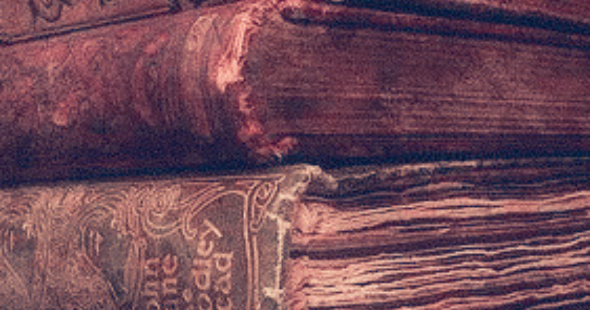 Mehr über den Artikel erfahren „Mia Moglie“-Facebookgruppe und warum Female Rage Romane so wichtig sind