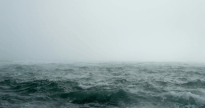 Mehr über den Artikel erfahren Susanna Tassi goes Sturm Verlag!