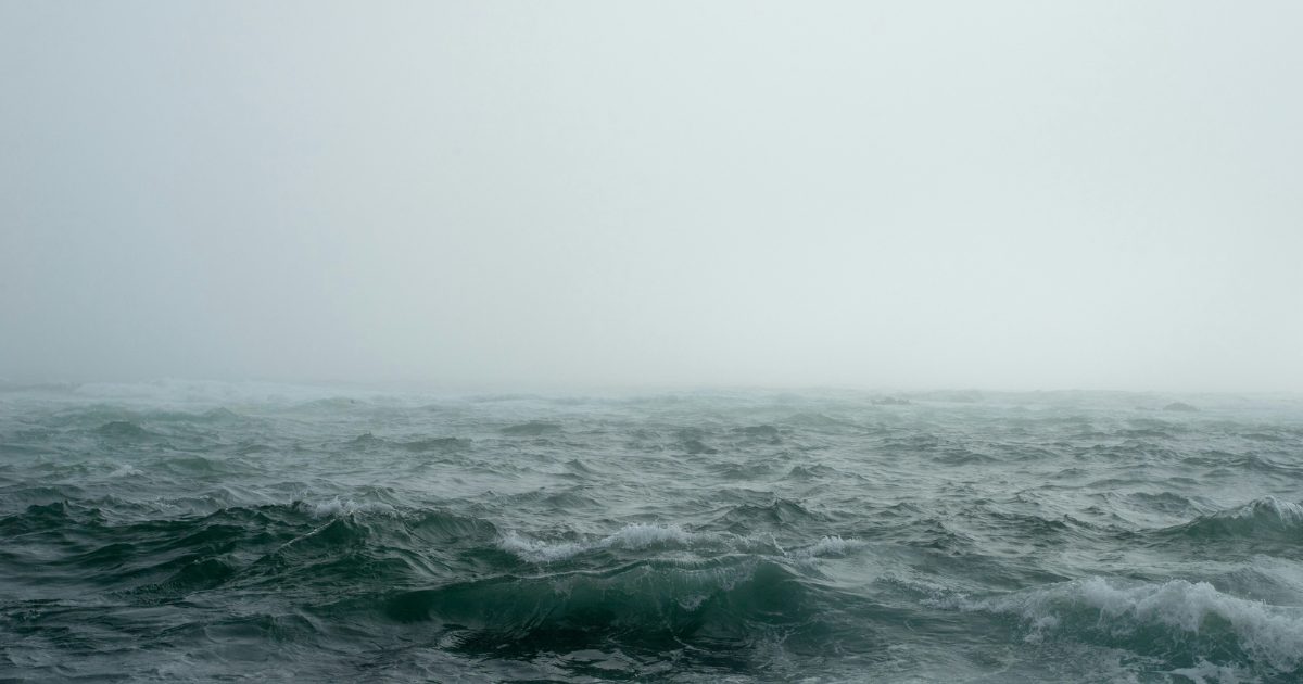 Mehr über den Artikel erfahren Susanna Tassi goes Sturm Verlag!