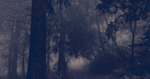 Mehr über den Artikel erfahren Kurzgeschichte: Wir brennen sie nieder