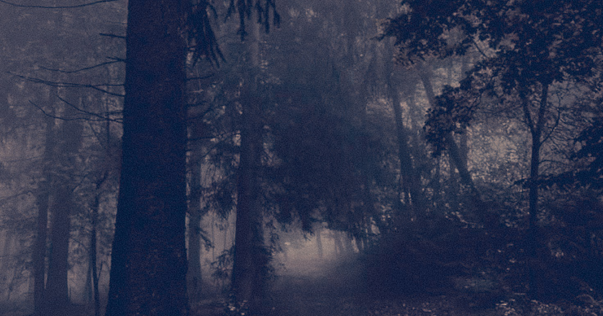 Mehr über den Artikel erfahren Kurzgeschichte: Wir brennen sie nieder